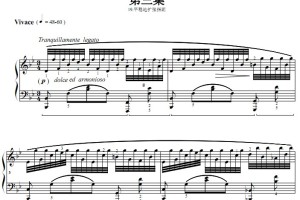 车尔尼740（手指灵巧练习曲）第3集.19.平稳地扩张指距 钢琴双手简谱 钢琴谱 正谱有指法